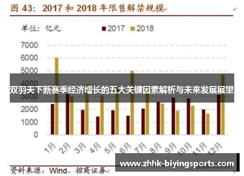 双羽天下新赛季经济增长的五大关键因素解析与未来发展展望