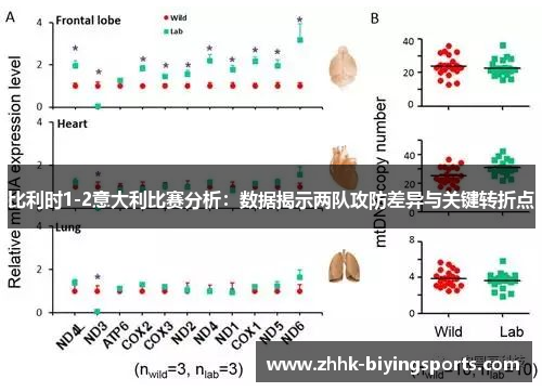 比利时1-2意大利比赛分析：数据揭示两队攻防差异与关键转折点