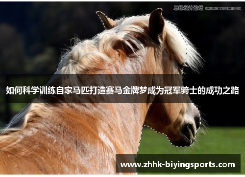 如何科学训练自家马匹打造赛马金牌梦成为冠军骑士的成功之路