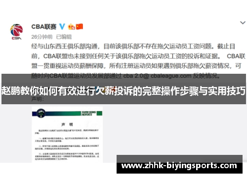 赵鹏教你如何有效进行欠薪投诉的完整操作步骤与实用技巧