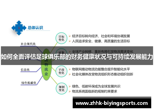 如何全面评估足球俱乐部的财务健康状况与可持续发展能力